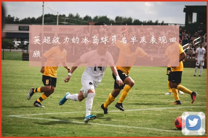 英超效力的冰岛球员名单及表现回顾