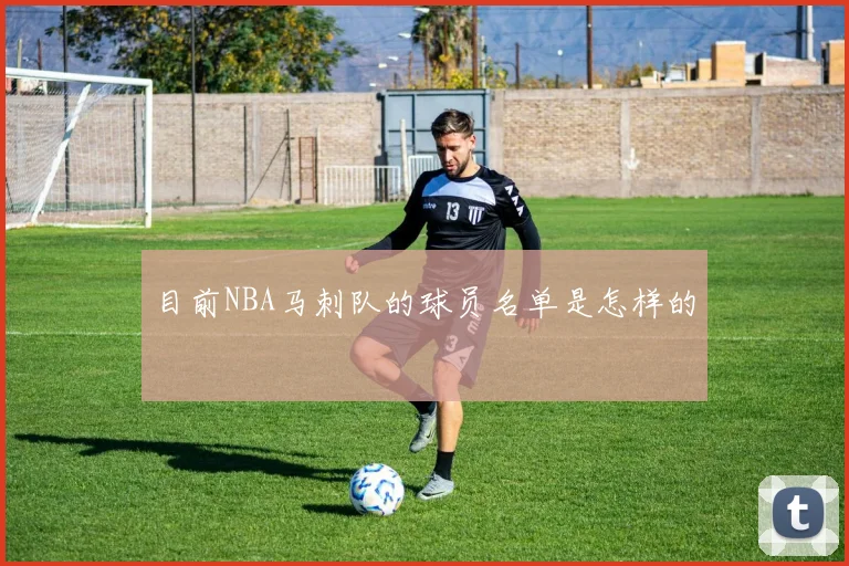 目前NBA马刺队的球员名单是怎样的