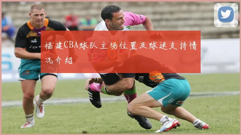 福建CBA球队主场位置及球迷支持情况介绍