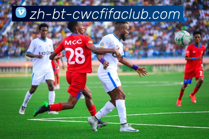 世界杯竞猜平台生态图